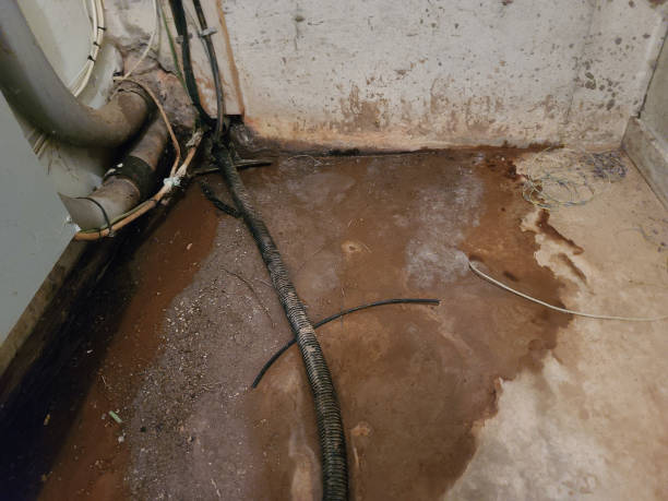 sewage backup cleanup cost