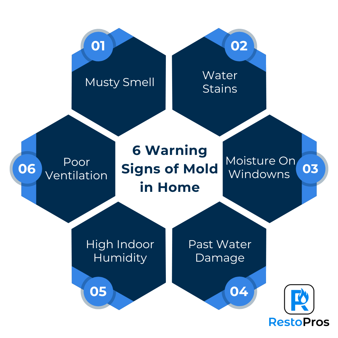 Warning Signs of Mold in Home