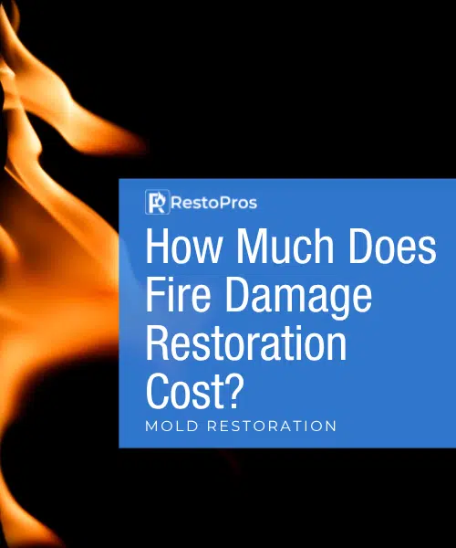 Fire damage restoration cost
