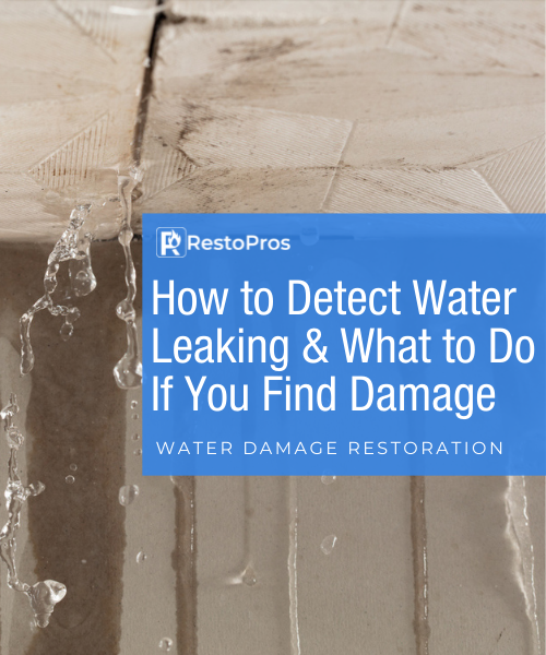 Blog Banner Image: How to Detect Water Leaking & What to Do If You Find Damage