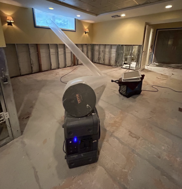 mold damage removal process