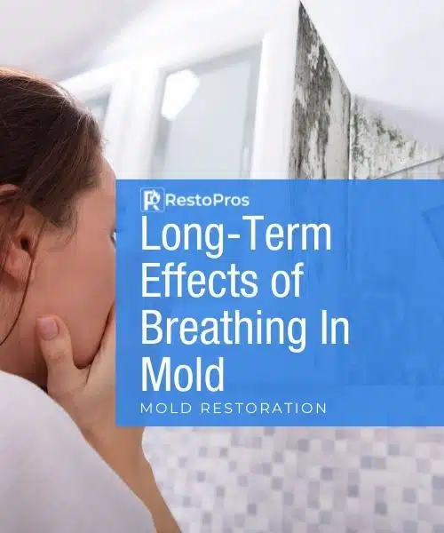 RestoPros: Long-Term Effects of Breathing in Mold - Mold Restoration