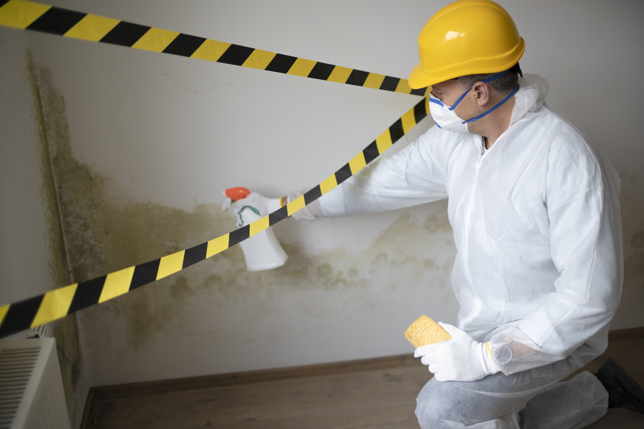 Man with protective mask, protective suit and yellow safety helmet tries to remove mold on wall with sponge and cleaning agent