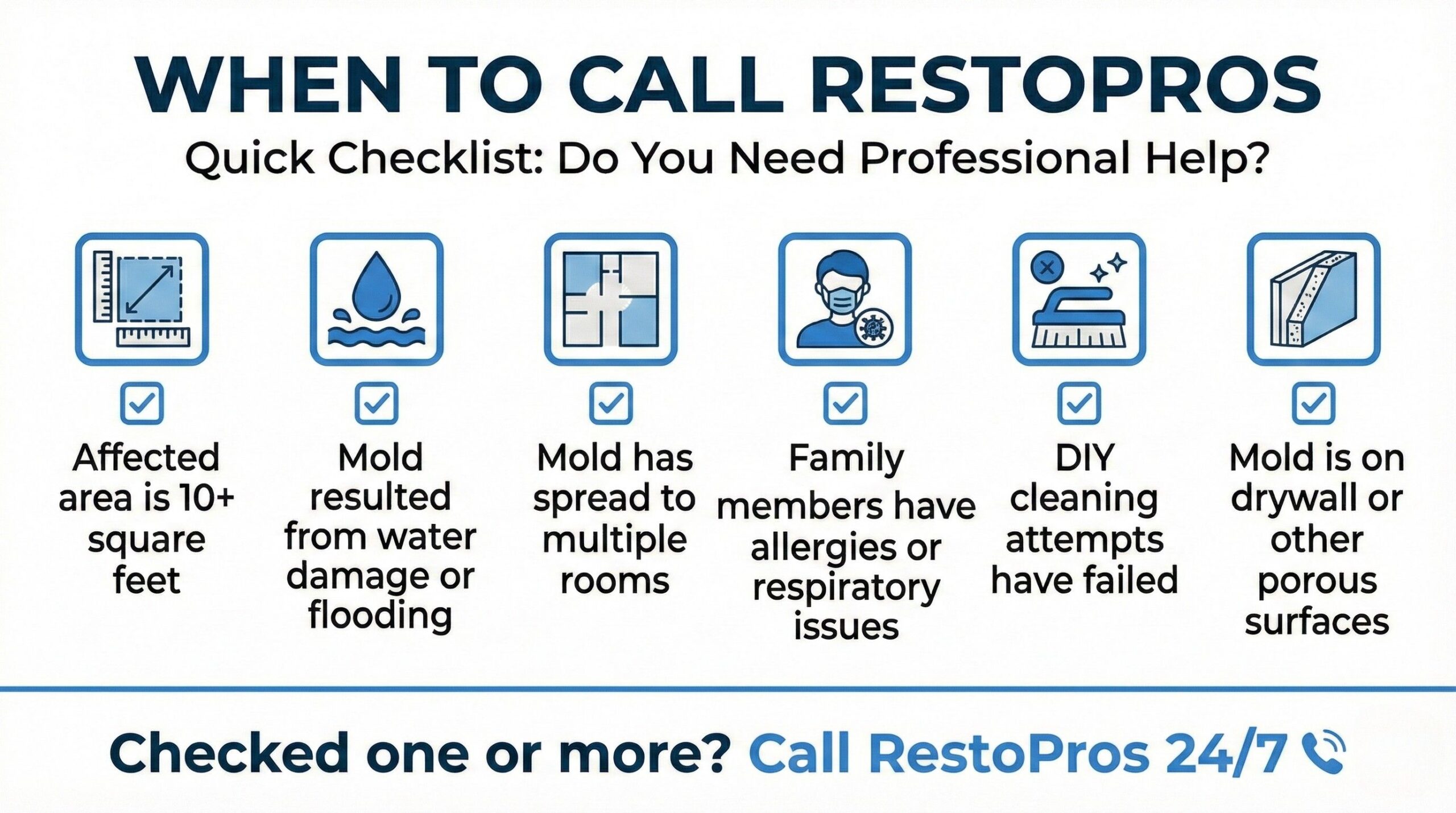 mold damage checklist: do you need professional help?