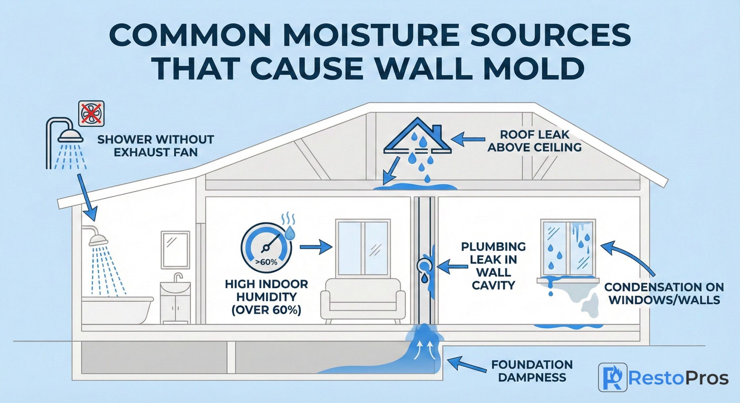 Common Moisture Sources That Cause Wall Mold