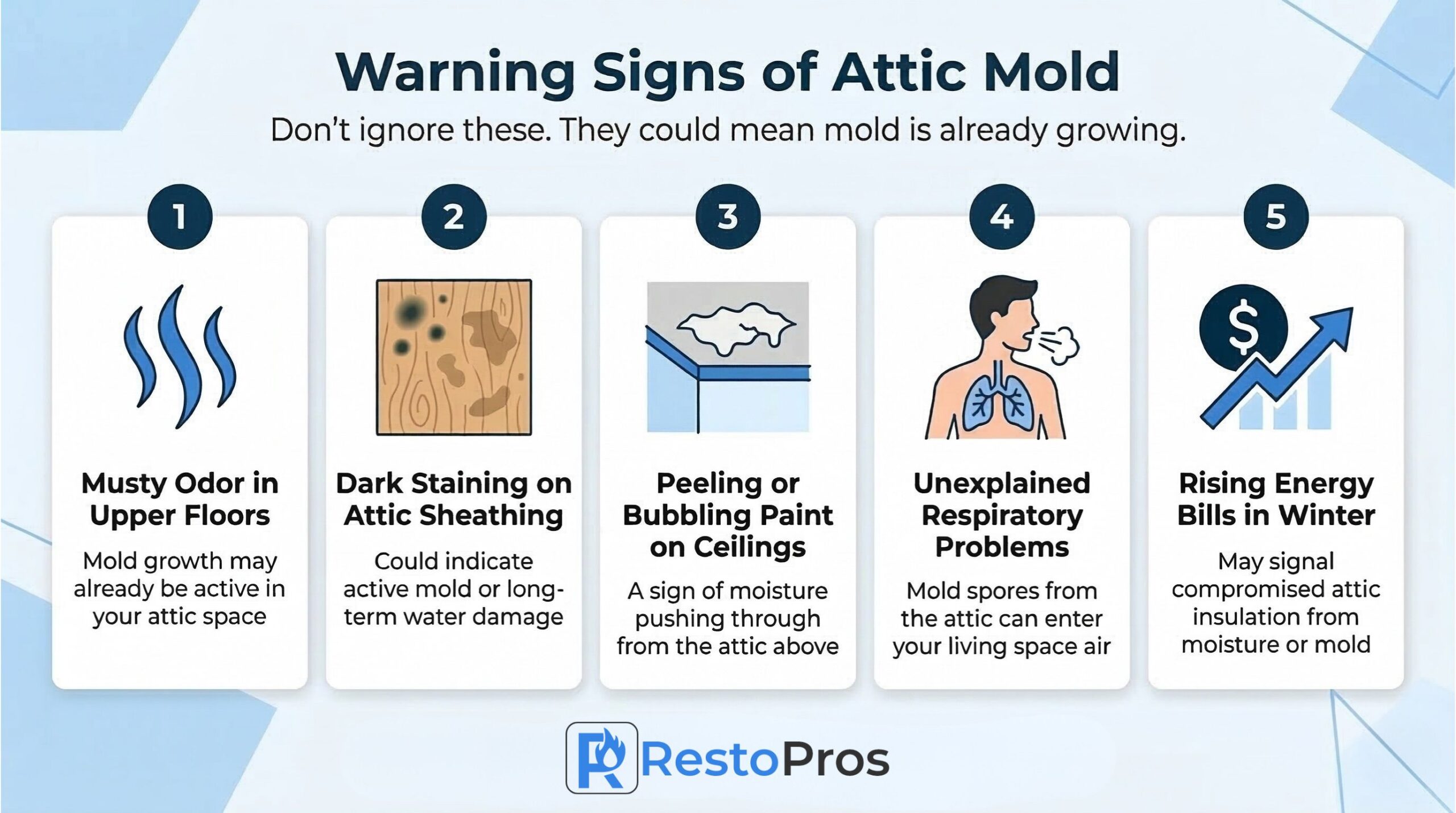 Warning Signs of Attic Mold