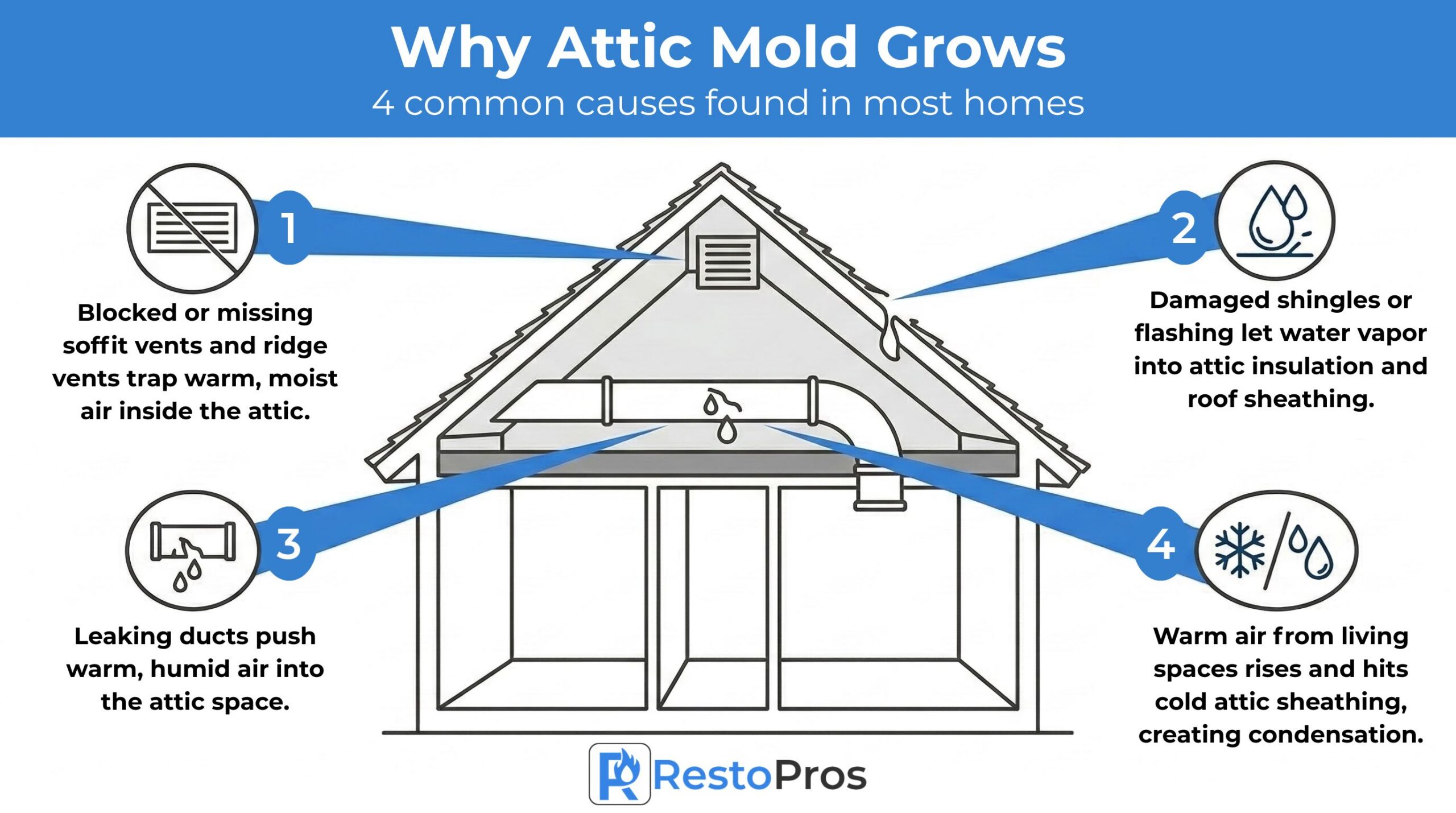 Why Attic Mold Grows