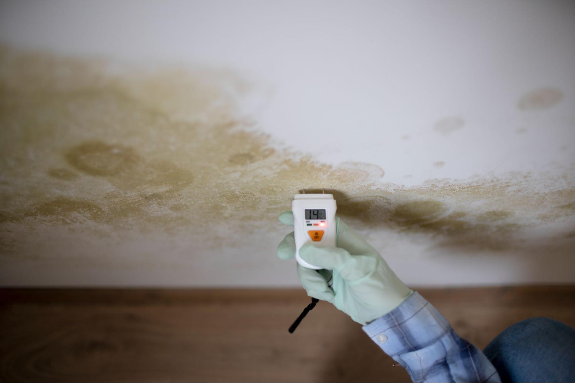 checking water damage on wall with moisture meter