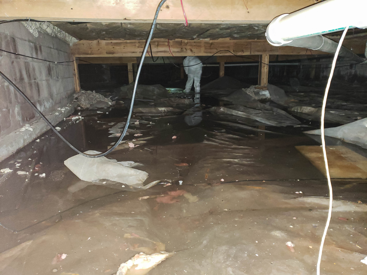 Water Damaged Crawl Space