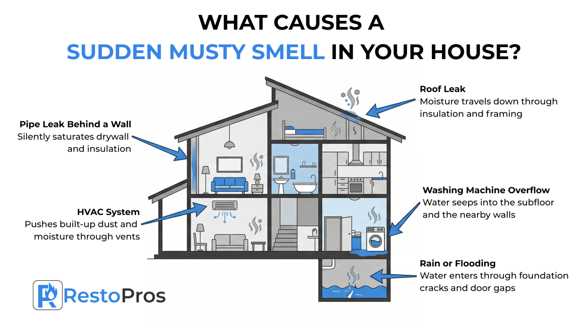 Infographic: What Causes a Musty Smell in Your House?
