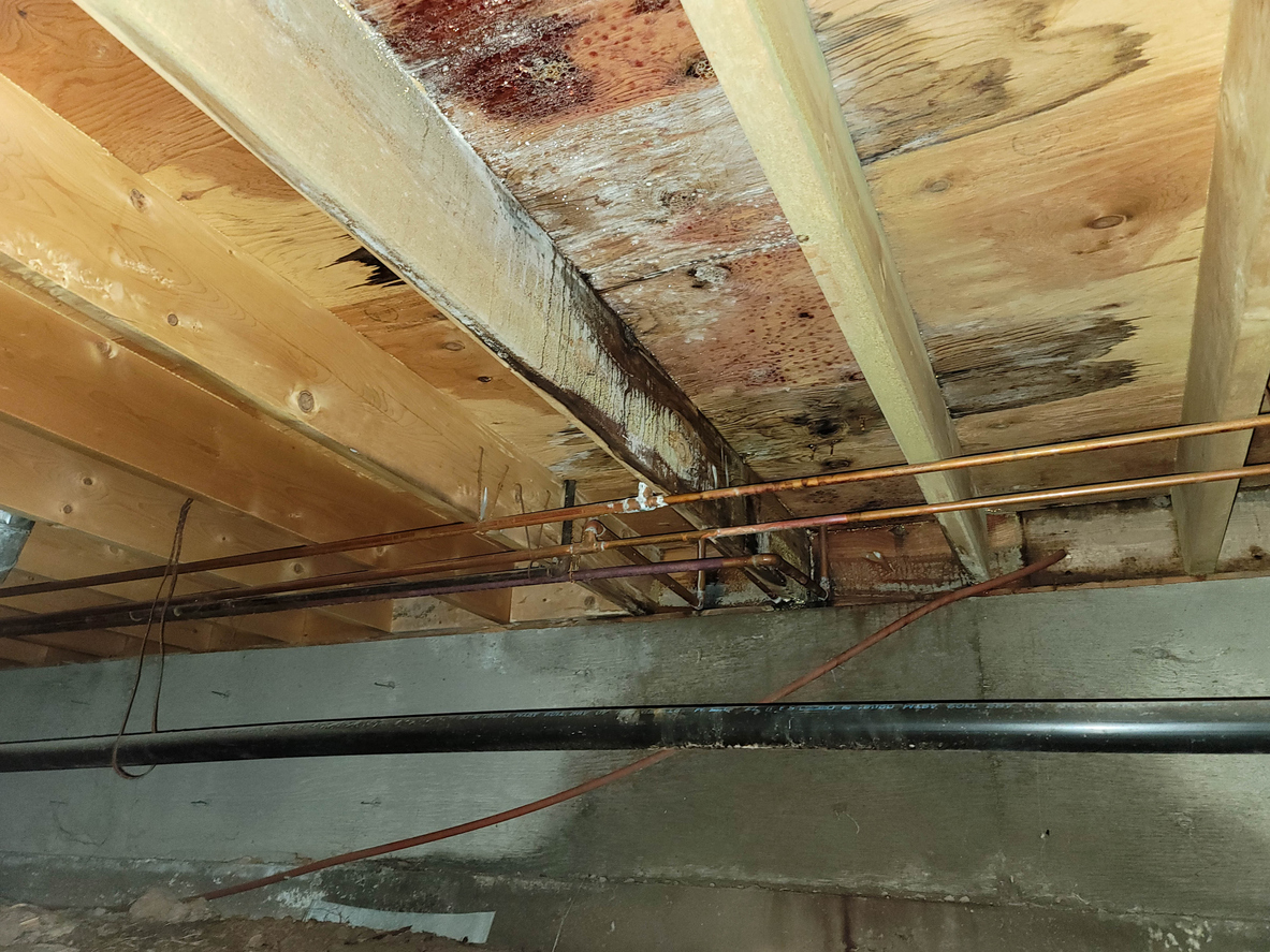 Water damage and mold