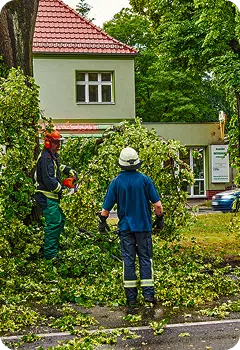 Storm Damage
