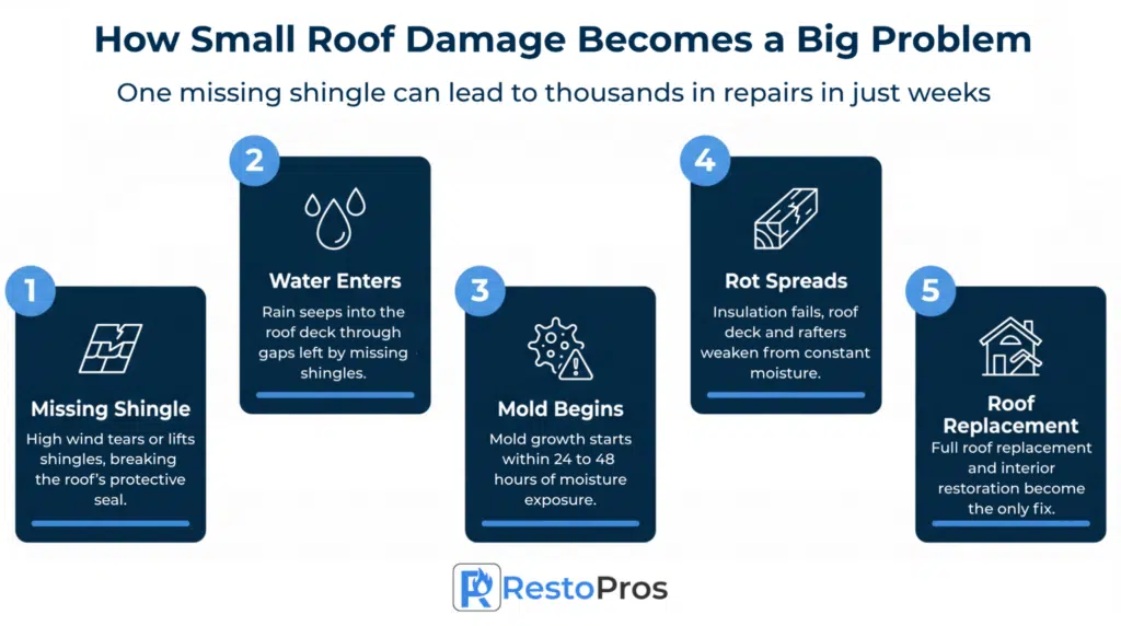 Infographic: How small roof damage becomes a big problem 