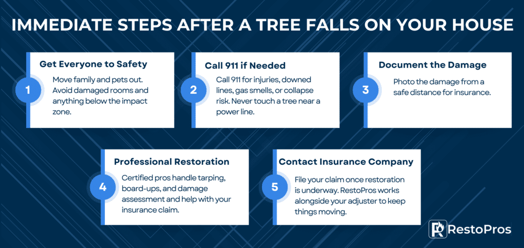 infographic: immediate steps after a tree falls on your house. 1) get everyone to safety 2) call 911 if needed 3) document the damage 4) professional restoration 5) contact insurance company