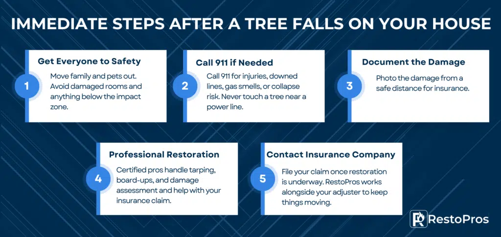 infographic: immediate steps after a tree falls on your house. 1) get everyone to safety 2) call 911 if needed 3) document the damage 4) professional restoration 5) contact insurance company