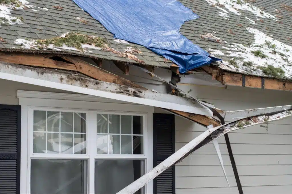 damage to roof and gutter after tree fell on roof