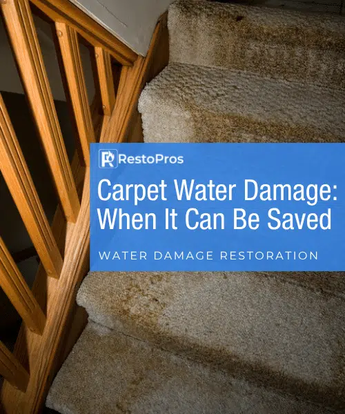 header image title card of water damaged carpeted stairs
