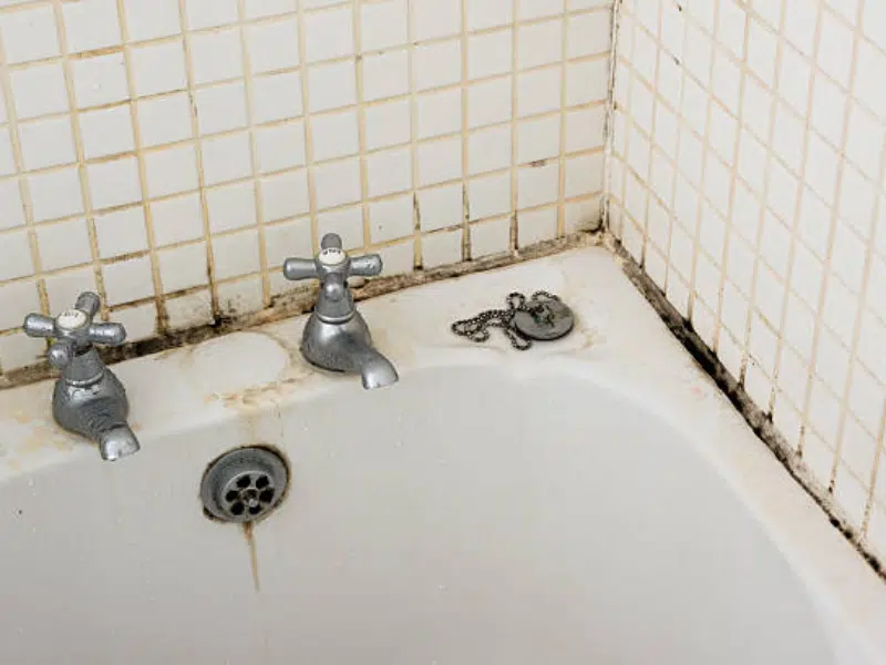 mold in bathroom