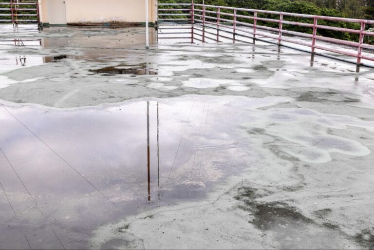 image of commercial water damage on a roof pooling