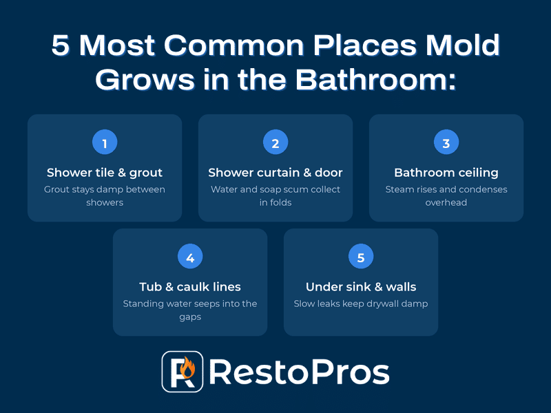 5 common places mold grows in the bathroom infographic