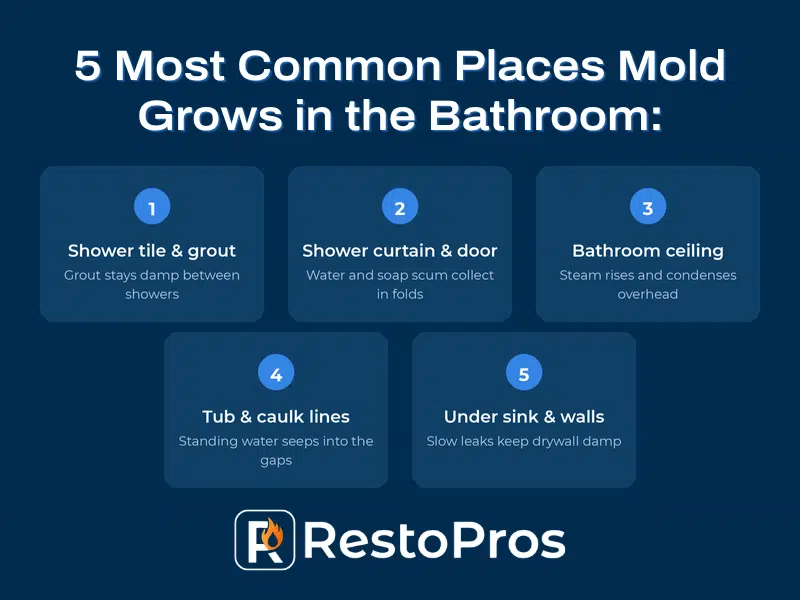 5 common places mold grows in the bathroom infographic