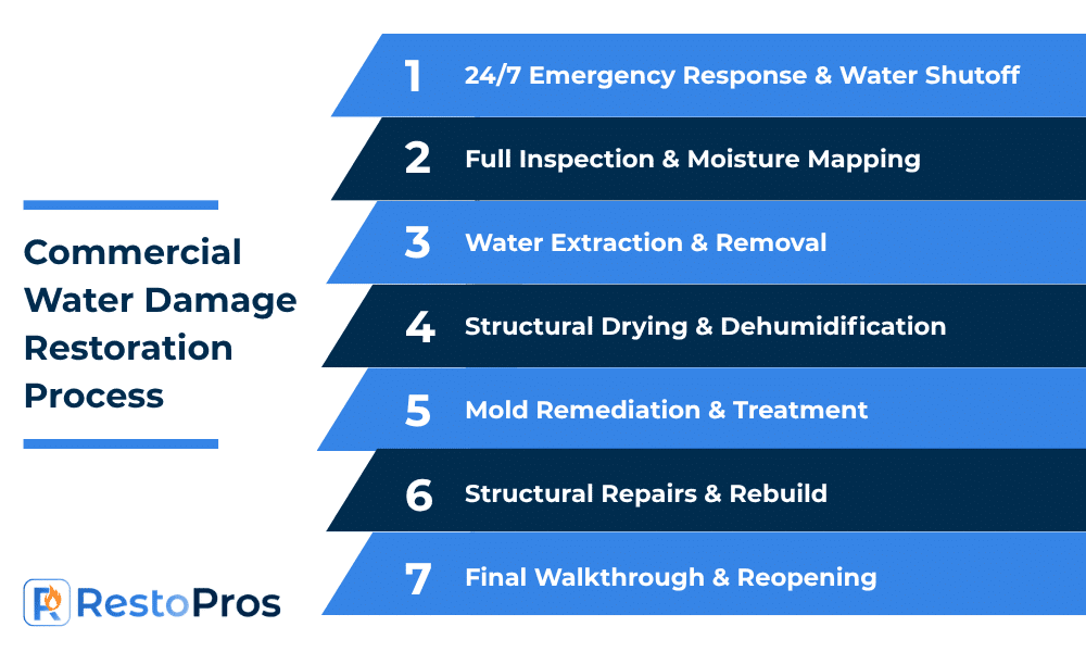 infographic detailing commercial water damage restoration process