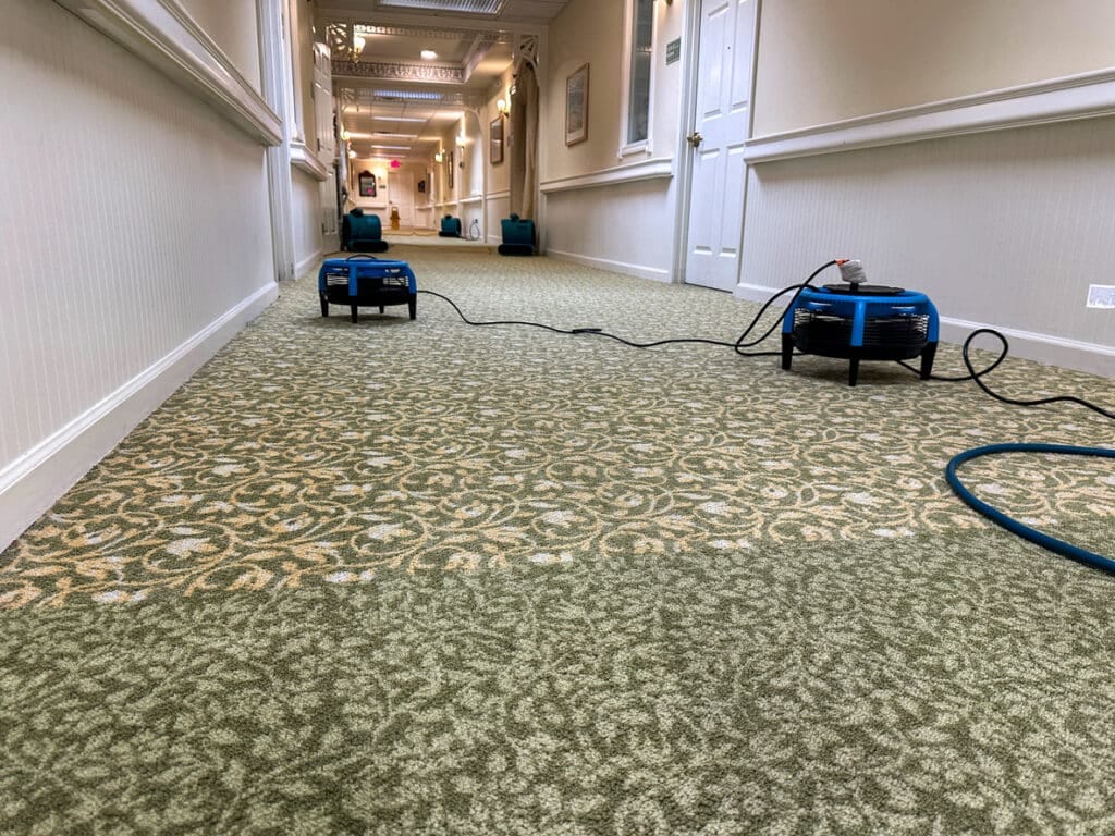 Some air movers drying out the carpet after cleaning