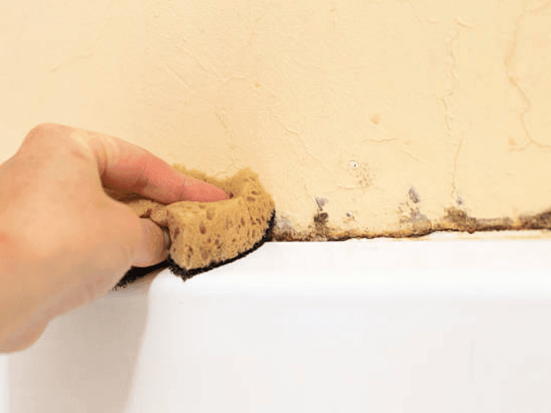 cleaning mold in the bathroom