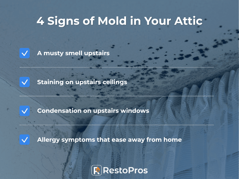 infographic of the 4 signs of mold in your attic