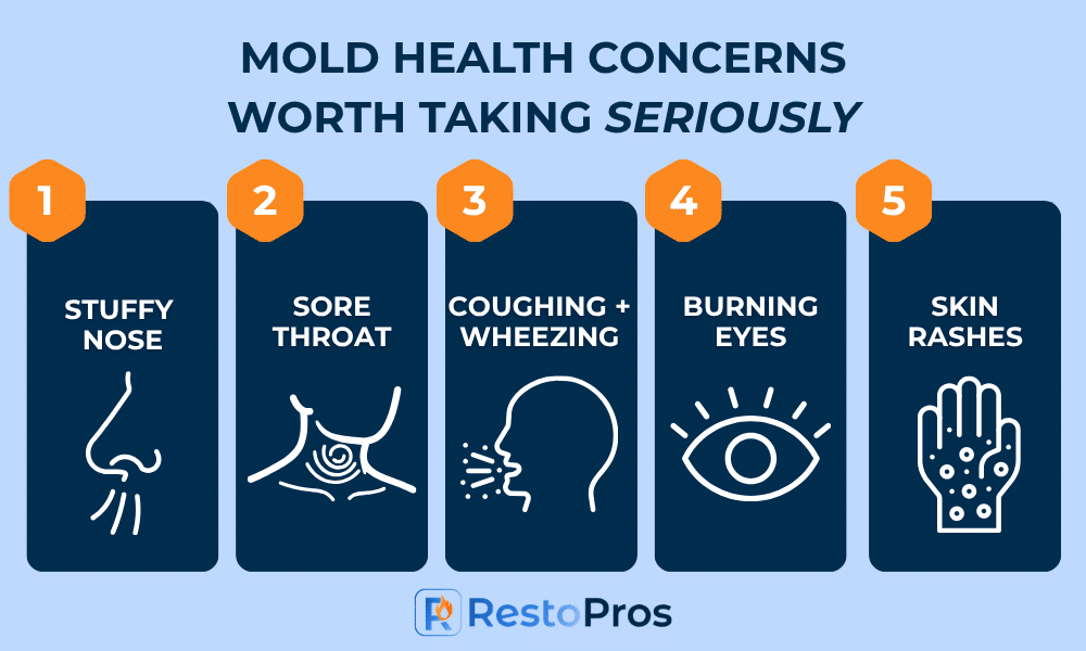 infographic detailing what mold health symptoms should be taken seriously